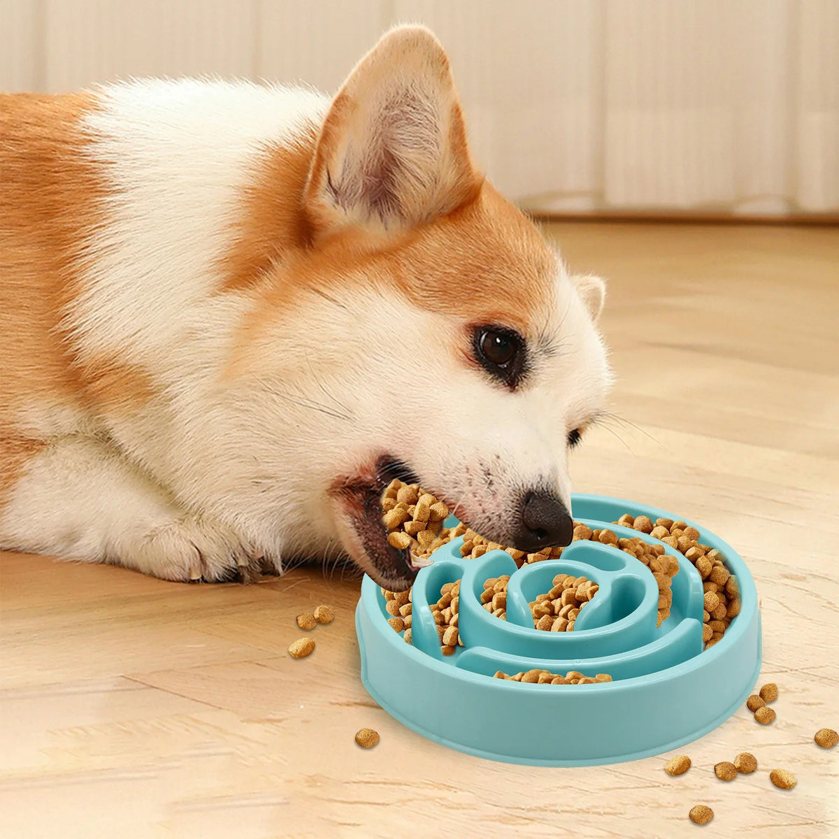 Slow Feeder Bowl for Dogs & Cats - Anti-Gulp Maze Design, Non-Slip Base