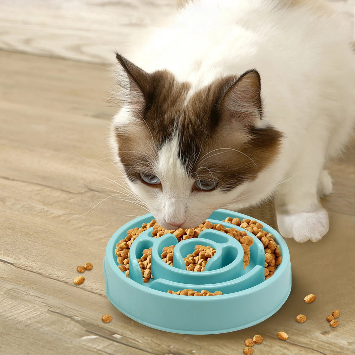 Slow Feeder Bowl for Dogs & Cats - Anti-Gulp Maze Design, Non-Slip Base
