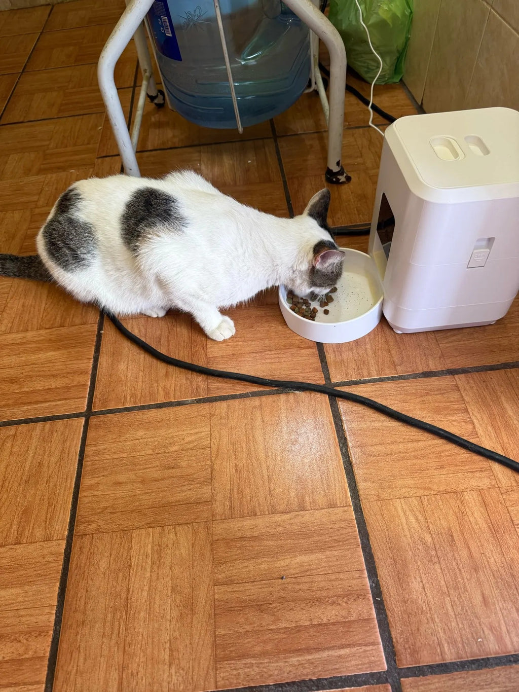 Smart WiFi Pet Feeder - App-Controlled Timed Food Dispenser with LCD Display (White)
