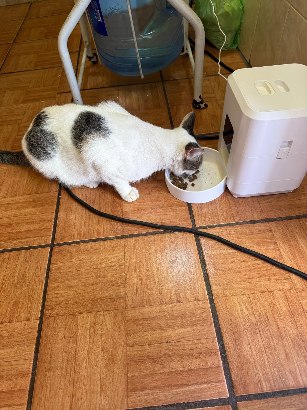 Smart WiFi Pet Feeder - App-Controlled Timed Food Dispenser with LCD Display (White)