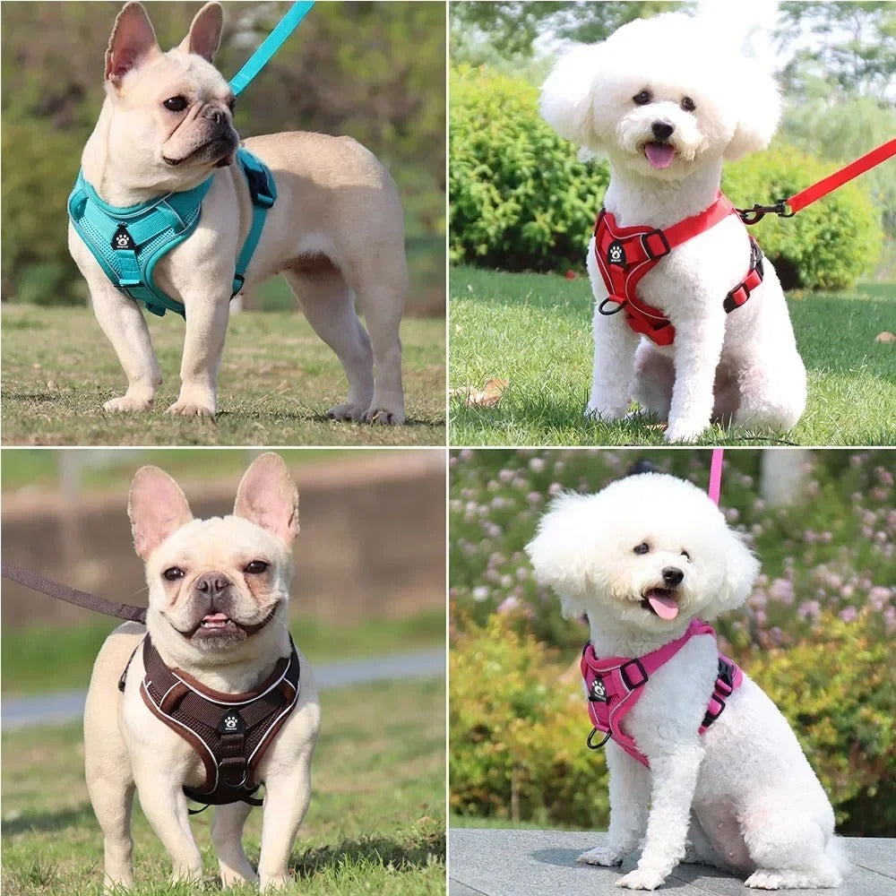 No-Pull Dog Harness with Leash Set - Padded Breathable Vest with Reflective Straps (Teal)