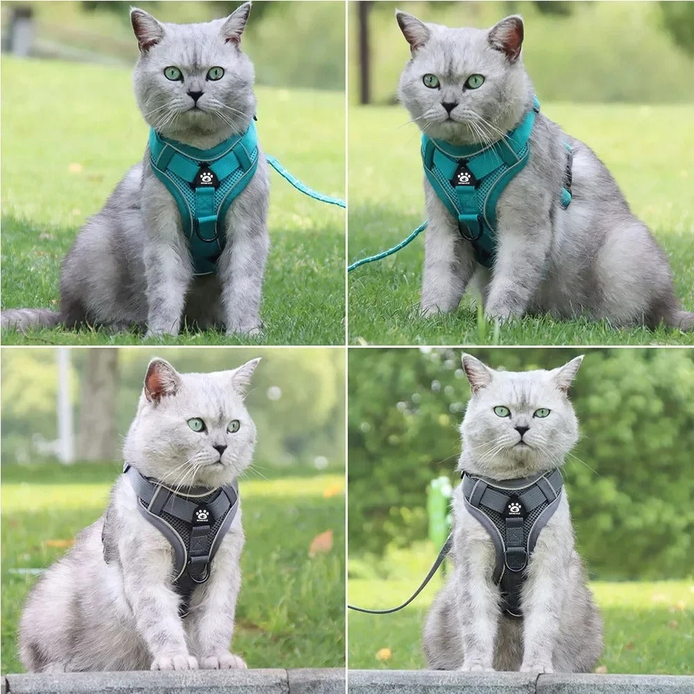 No-Pull Dog Harness with Leash Set - Padded Breathable Vest with Reflective Straps (Teal)
