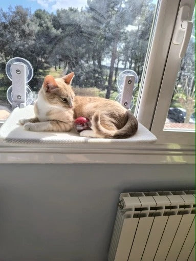 Cat Window Perch - Suction Mount Cat Hammock for Windows (Off-White)